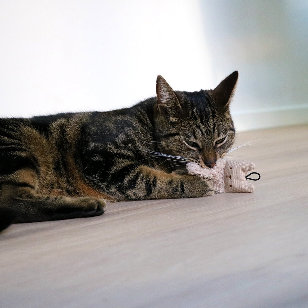 ALFIE Kattenspeeltjes 3 stuks