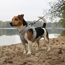 Ultimate fit kleine hond leiband