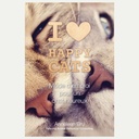 I LOVE HAPPY CATS BOEK NLD