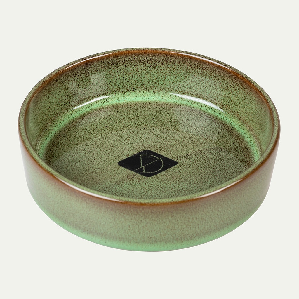 Jasper cat eating & drinking bowl