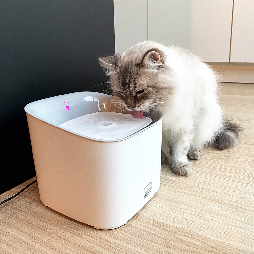 Manoa drinking fountain - white