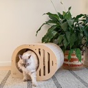 Tara cat house