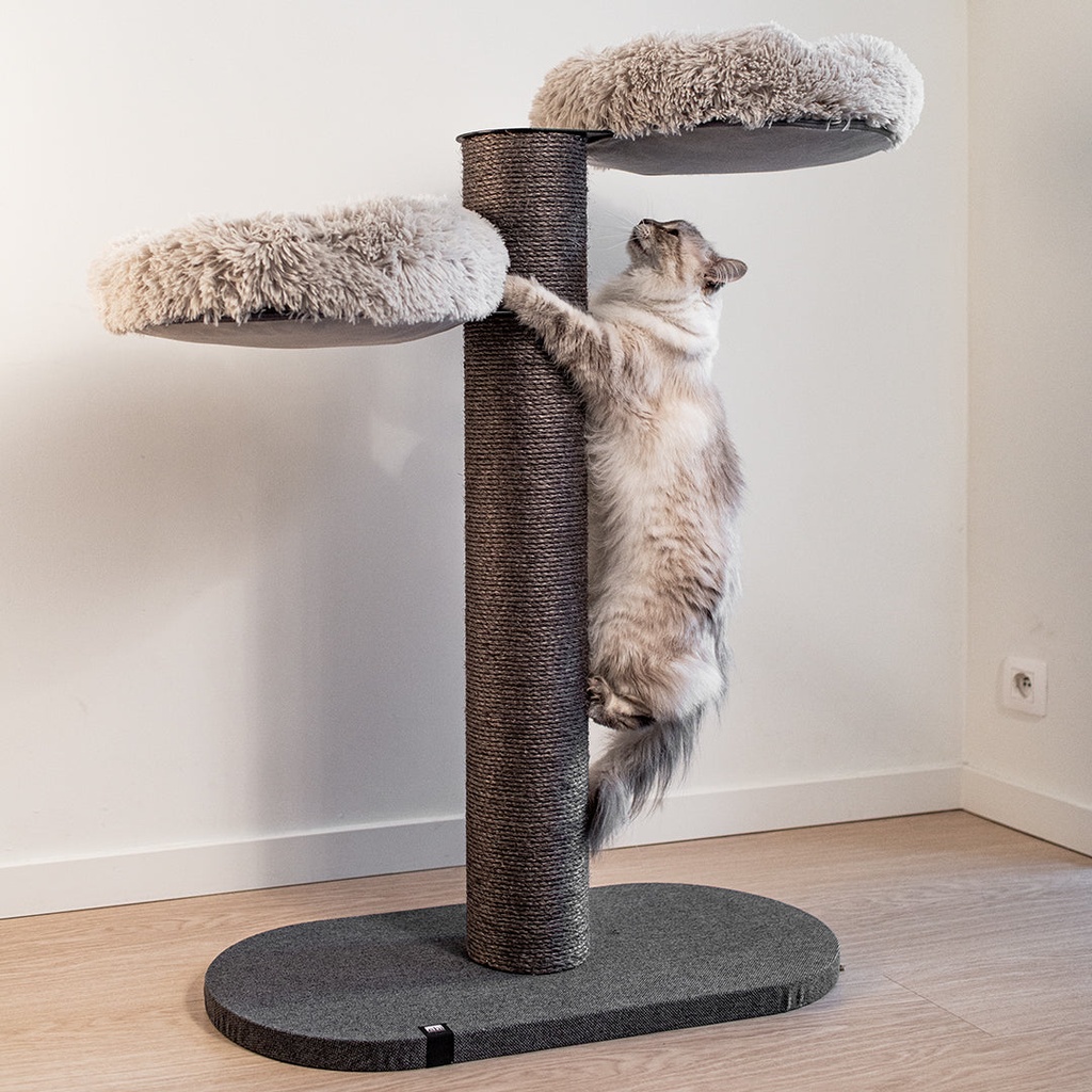 Skye scratching post