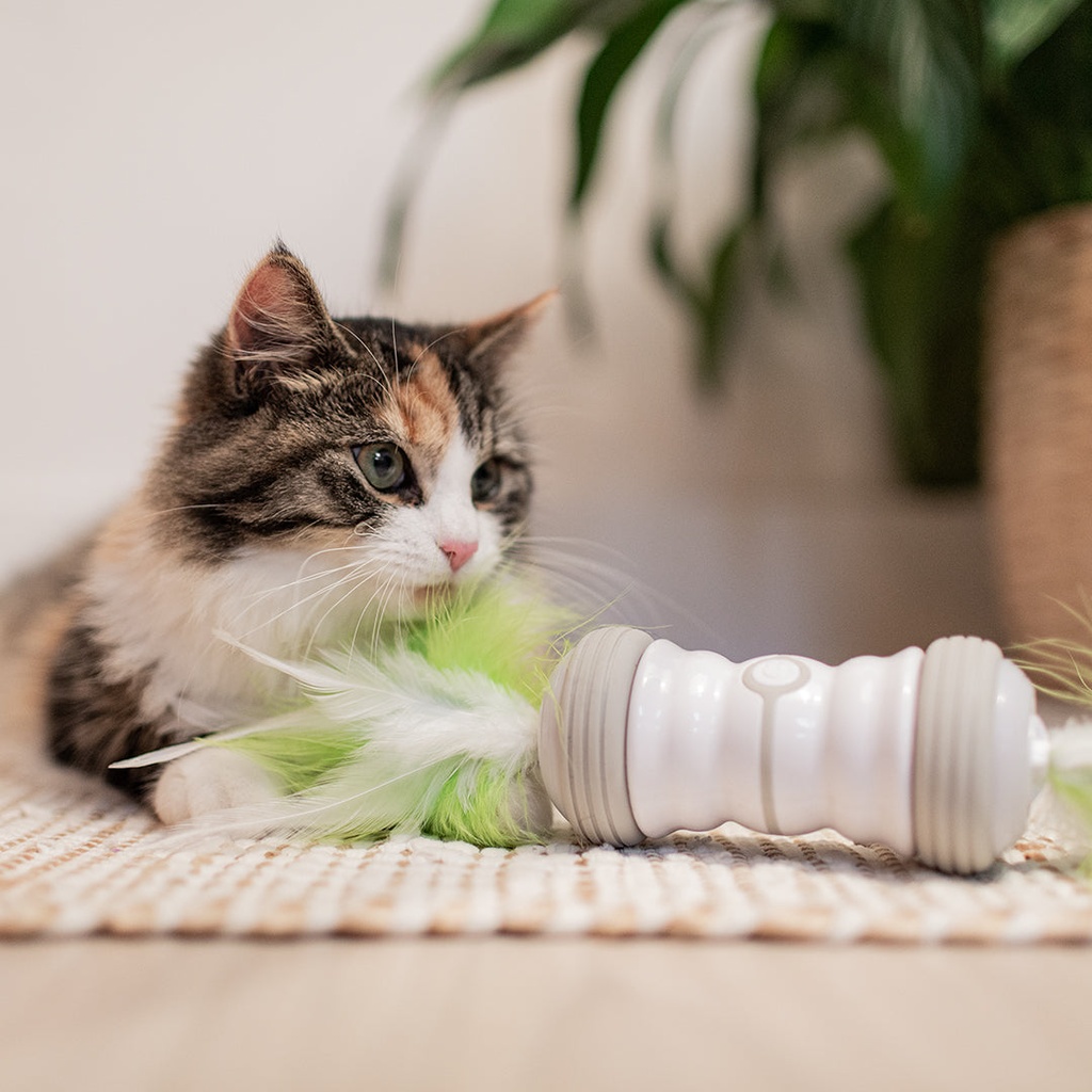 Jouet pour chat à double rotation