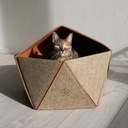 Logan cat house