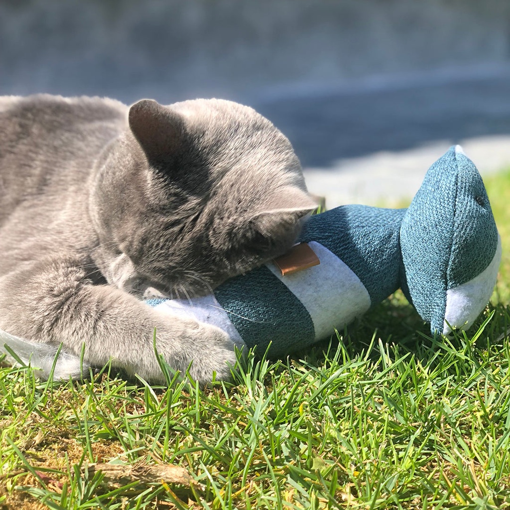 Rocco Trapperkissen Waschbär