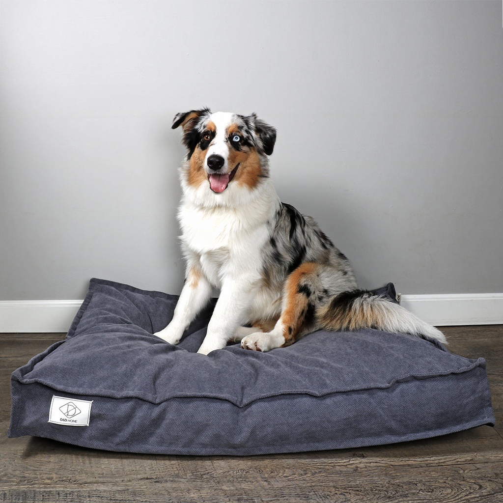 Coussin pour chien Steve