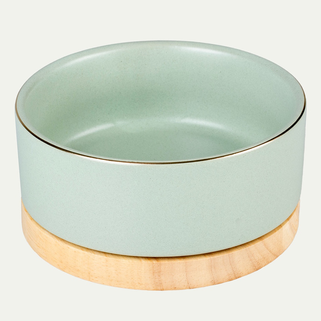 Timber bowl - mint green