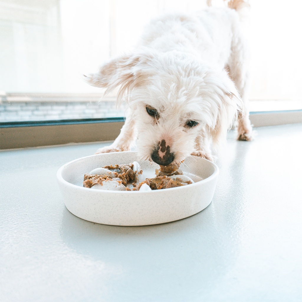 Slow down feeding bowl Stone Speckle - white