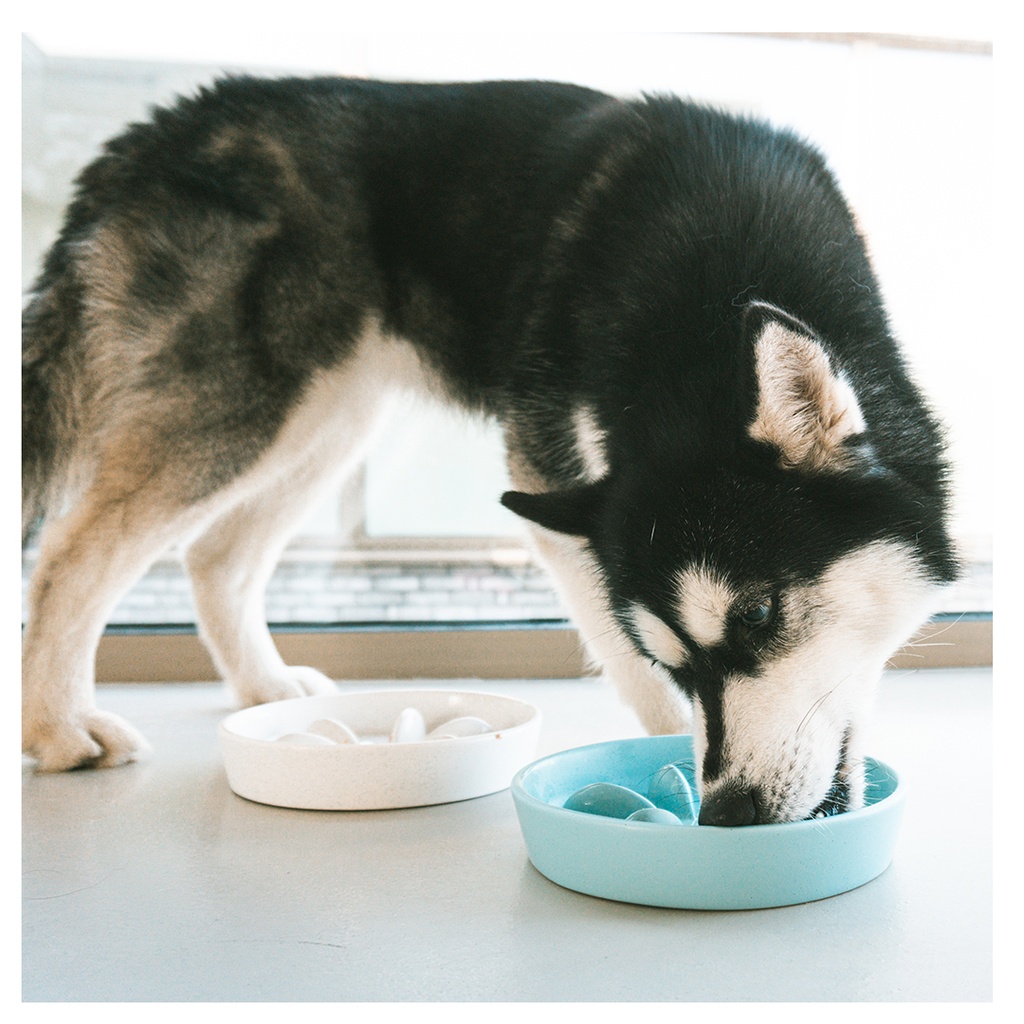 Anti-choking eating bowl Stone Speckle - Turquoise