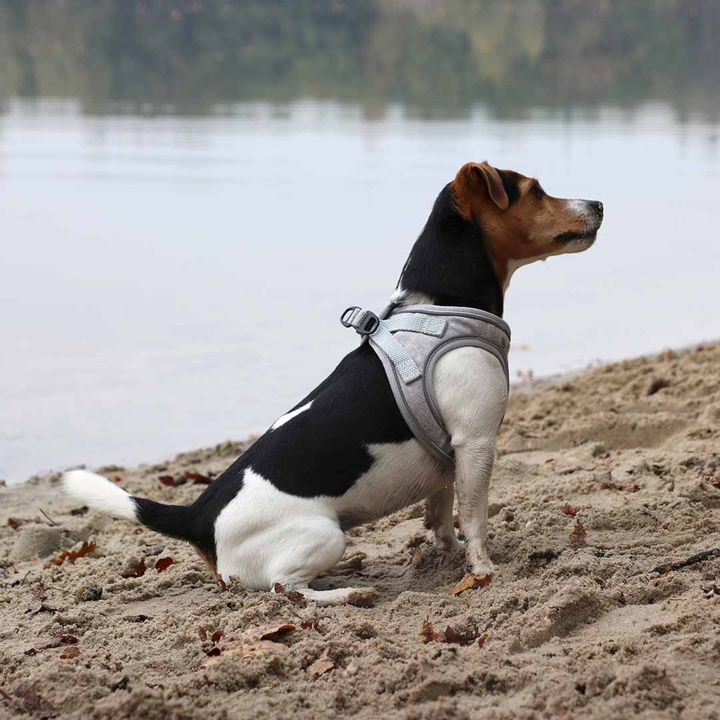 Geschirr Ultimate fit - kleine Hunde