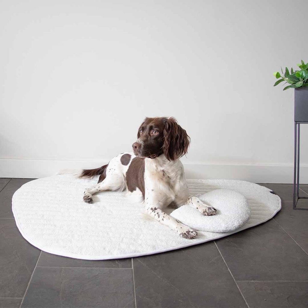 Pebble - Dog head pillow