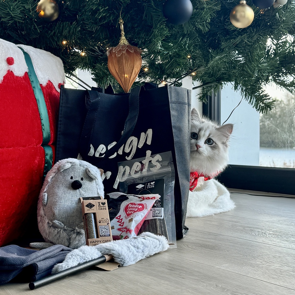 Geschenkset Katze