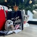 Gift set Cat