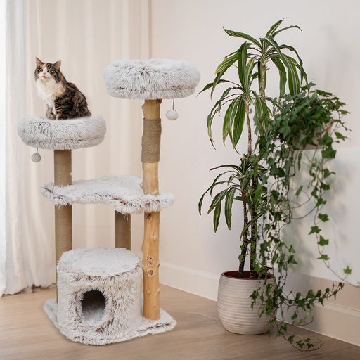 [431/481479] Marseille corner scratching post