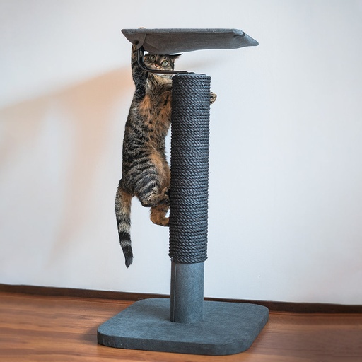 [431/455869] Iwaki scratching post