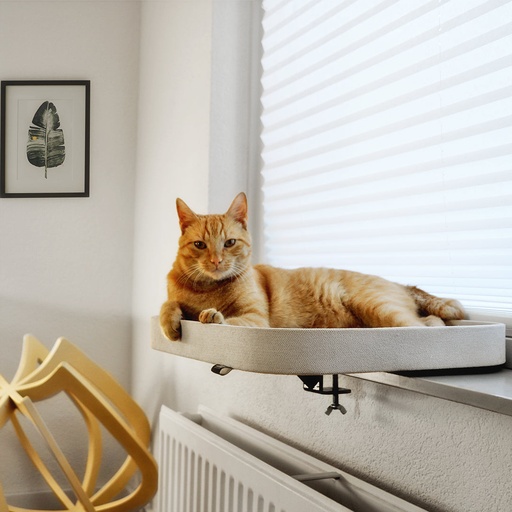 [431/466872] Kyo windowsill basket