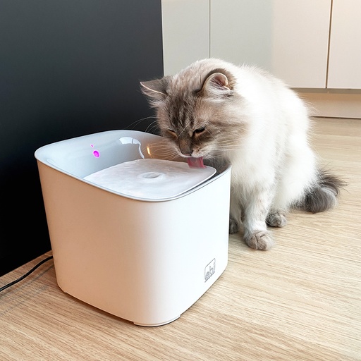 [603/474143] Manoa drinking fountain - white