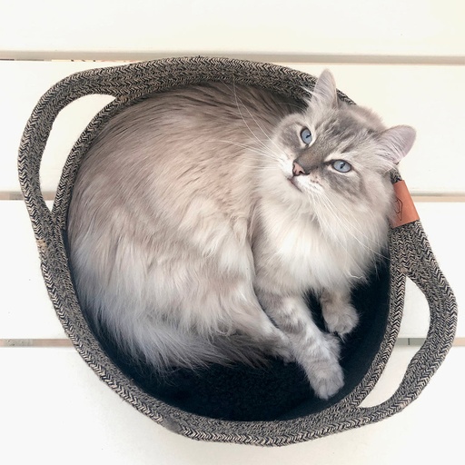 [673/463062] Panier pour chat Tod