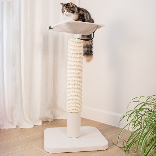 [431/455845] Iwaki scratching post