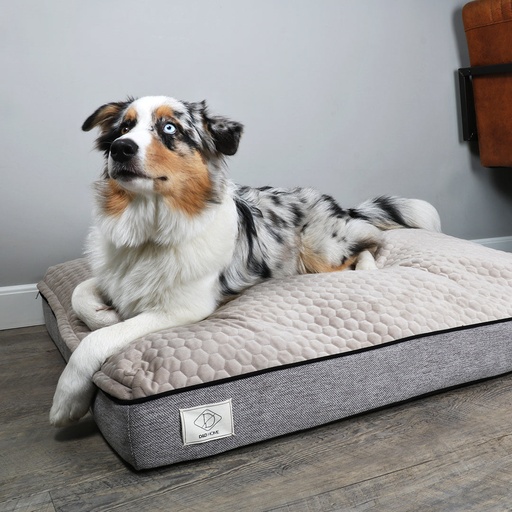 Celia dog cushion