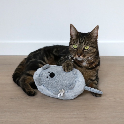 Cat kicking cushion Bowie