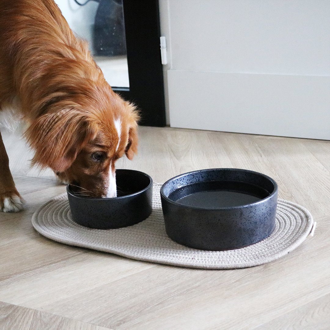 Jasper eet- en drinkkom